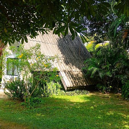 Cashewnut Tree Resort Ко-Ланта Екстер'єр фото